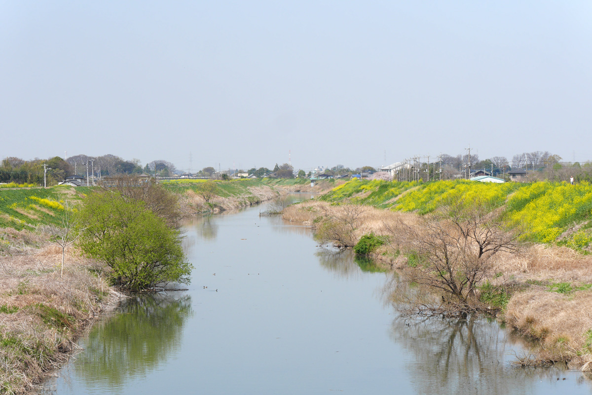 福川