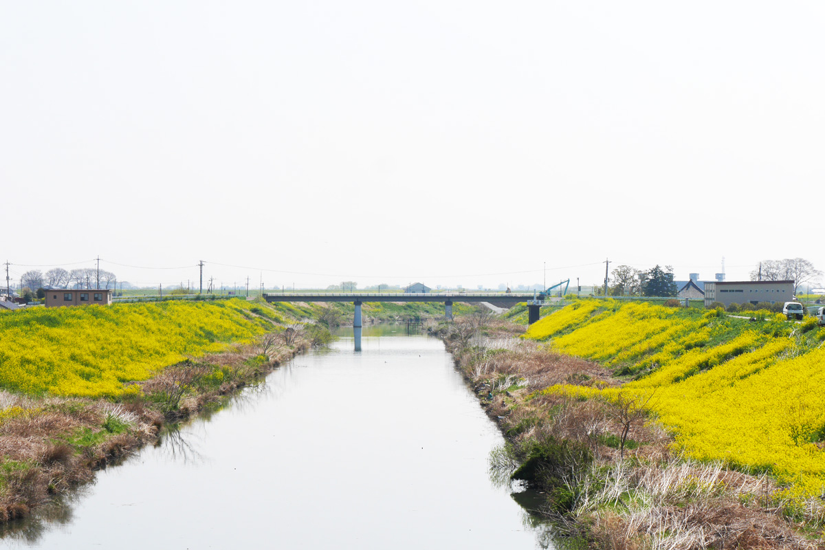 福川