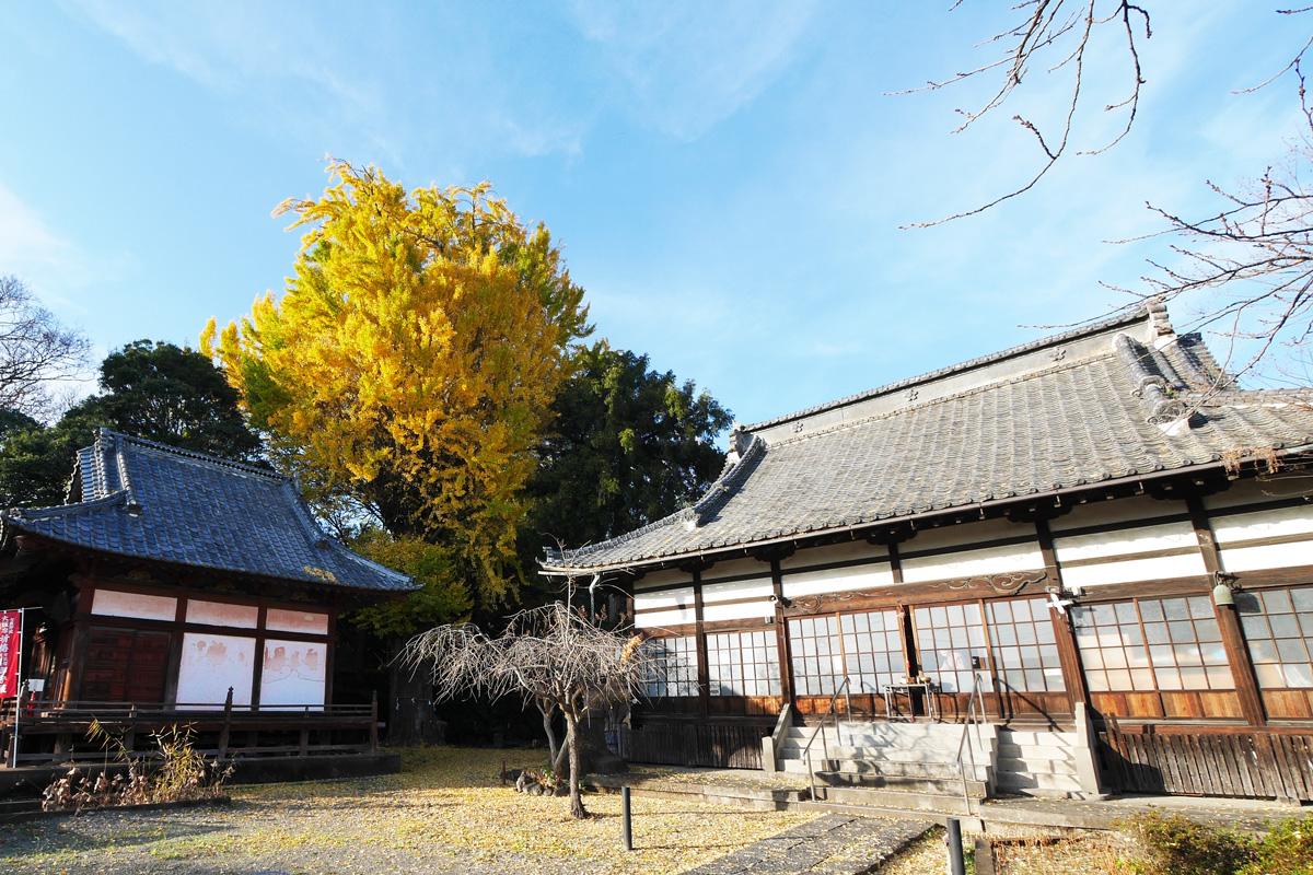 長慶寺の四季